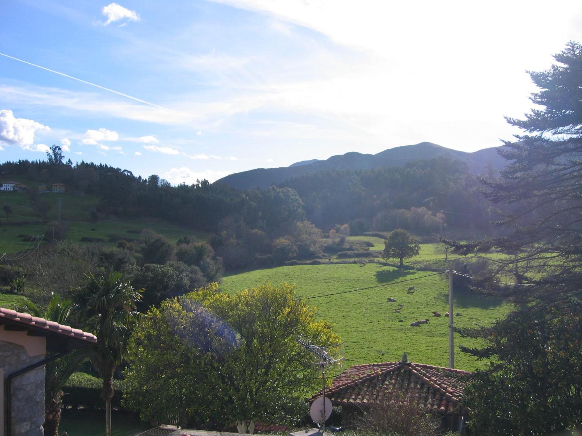 Apartamentos El Cueto De Los Collado Villanueva de Pria Luaran gambar